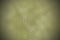 Green graven image background.