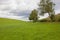 Green grazing meadow