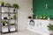 Green and grey kitchen interior with plants and herbs