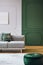 Green and grey wall with molding in chic room interior with grey couch and wooden floor