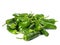 Green Grilling Pepper on white Background - Isolated