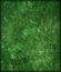 Green grunge texture