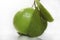 The green guava against the white background