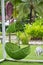 Green Hanging Chair in the garden