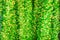 Green Happy New Year tinsel fragment over white background