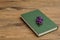 A green hardcover story book with purple flowers