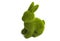 Green hare isolated