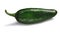 Green Hatch Numex chile, paths