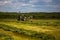 Green haymaking tractor on summer field before storm - telephoto shot with selective focus and blur