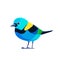 Green headed Tanager, Tangara seledon . Tanager is a brightly-colored bird Cartoon flat style beautiful character of