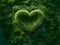 A green heart made of green plants in a clearing. Heart as a symbol of affection and