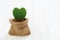 Green heart plant on wood background