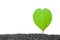 Green Heart Shaped Leaves of Succulent Hoya Plants growht on soil of love valentine day