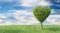 Green heart shaped tree landscape background