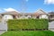 Green hedge fence with two houses in the background