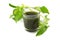 Green herbal basil
