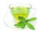 Green herbal tea with fresh mint