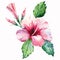 Green herbal tropical wonderful hawaii floral summer tropic pink red flower with buds and green leaves