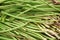 Green herbs, onions in the grocery stock