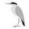 Green heron, vector illustration, flat style,