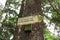 Green hiking trail sign on the tree in Czech republic