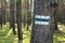Green hiking trails marker on the tree