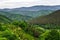 The green hills of Alsace, France