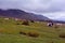 Green hills of Brecon Beacons, Wales, UK