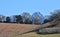 Green hills for the first crop shoots and others with holes prepared for planting