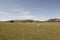 Green hills and mountains with sheep, New Zealand