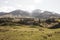 Green hills and mountains with sheeps, New Zealand