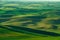 Green hills Palouse Washington