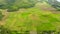 Green hills and rice fields, aerial view. The nature of the Philippine Islands,