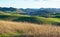 Green Hills of Sonoma County