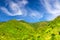 Green hills with vineyard bushes and trees, blue sky with transparent white clouds copy space background, view from Corniglia, Nat