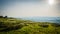 Green hilly countryside in Devon, United Kingdom