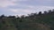 Green hilly land, blooming trees, Andalusia, Spain