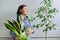 Green hobby indoor houseplants, woman with plants in pots