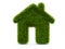 Green home from grass