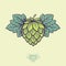 Green Hop Cone. Hop cone logo. Beer Cone Hop and Leaves Illustration.