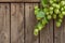 Green hop cones on  stem with leaves on wooden background vertical as frame for brewing or Oktoberfest, copy space