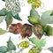 Green hops. Watercolor background illustration set. Seamless background pattern.