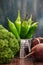 Green hot pepper in an enameled watering can, broccoli and beets on wooden background