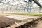 Green House and green vegetable. Young plants growing in a very large nursery.