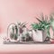 Green house plants arrangement in pots, glass terrarium and jars on table at pastel pink background. Various succulent and cactus