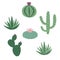 Green house plants cactus peyote haworthia aloe sansevieria icon