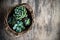 Green house plants potted, succulents in a basket