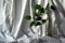 Green houseplant in bottle with visible roots on white textured background minimalist style