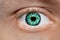 Green human eye macro