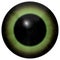 Green human eyeball with white background, black big pupil, colorized green eye